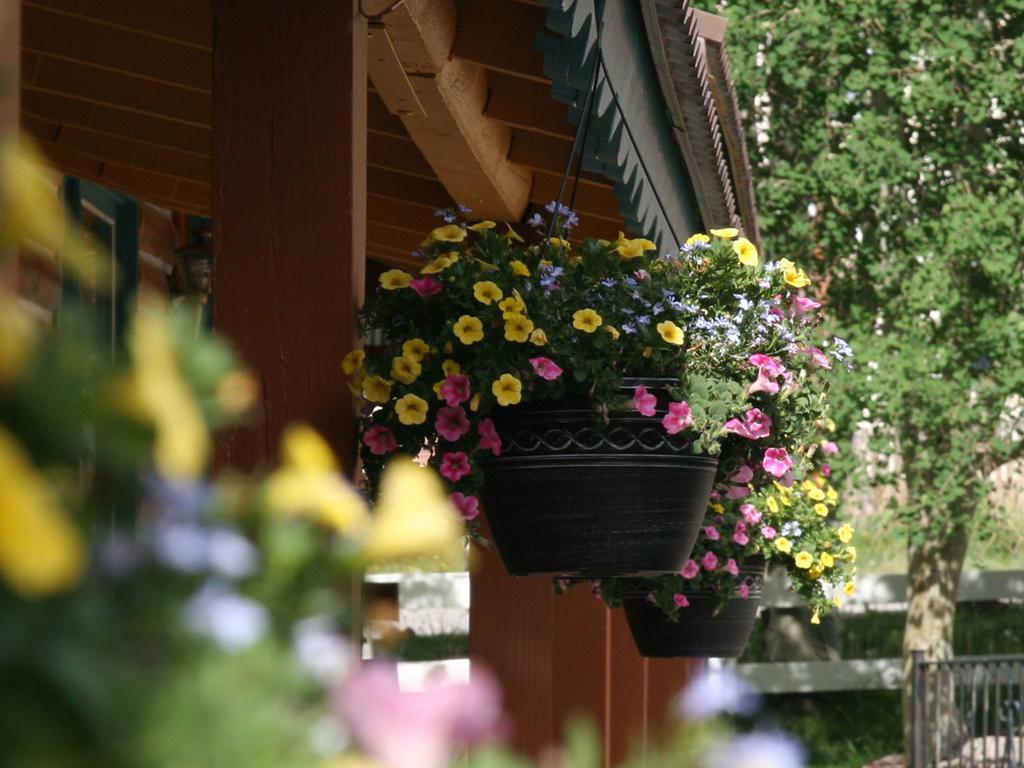 Ouray Inn Екстер'єр фото